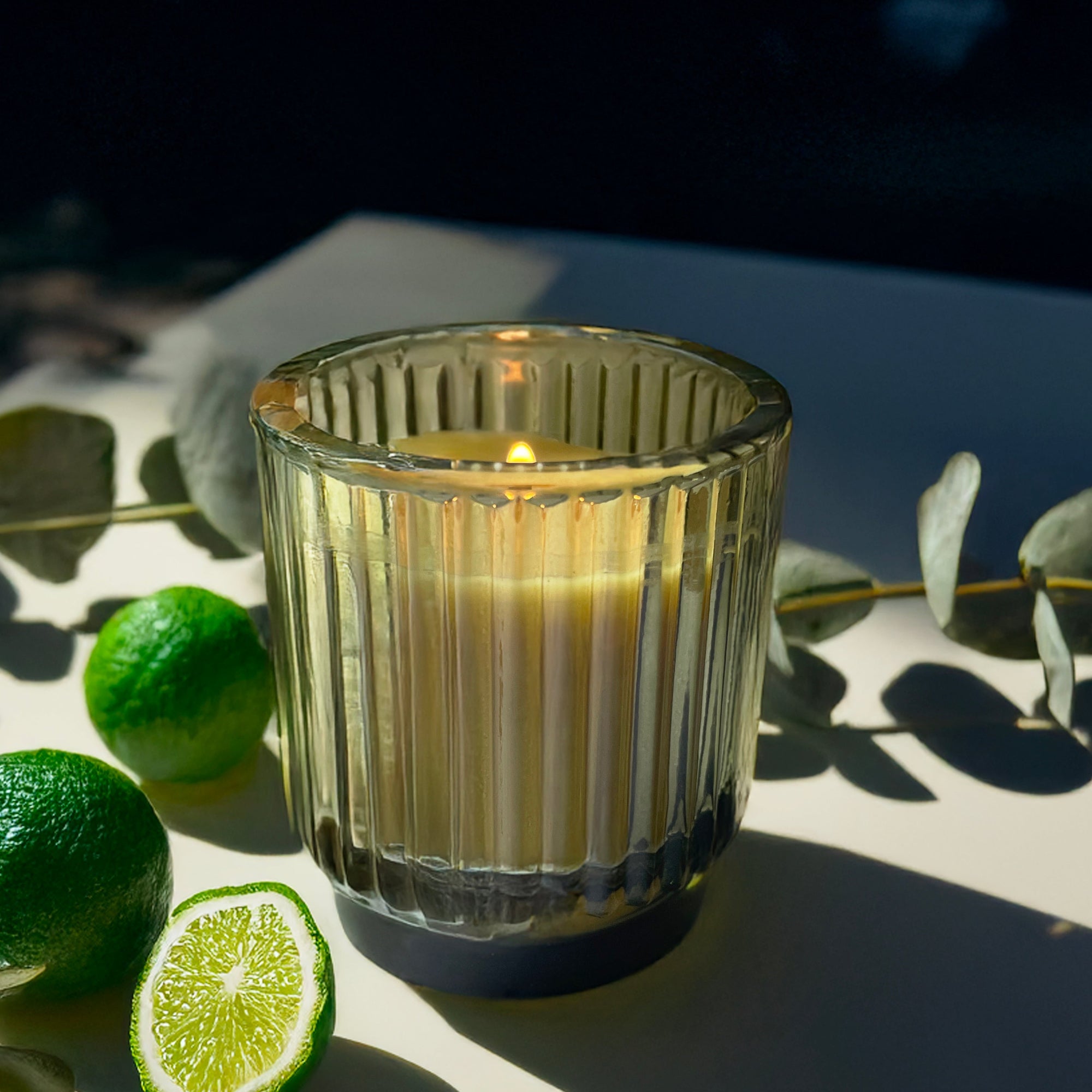 CI T R U S  G R O V E  |  7 oz. candle