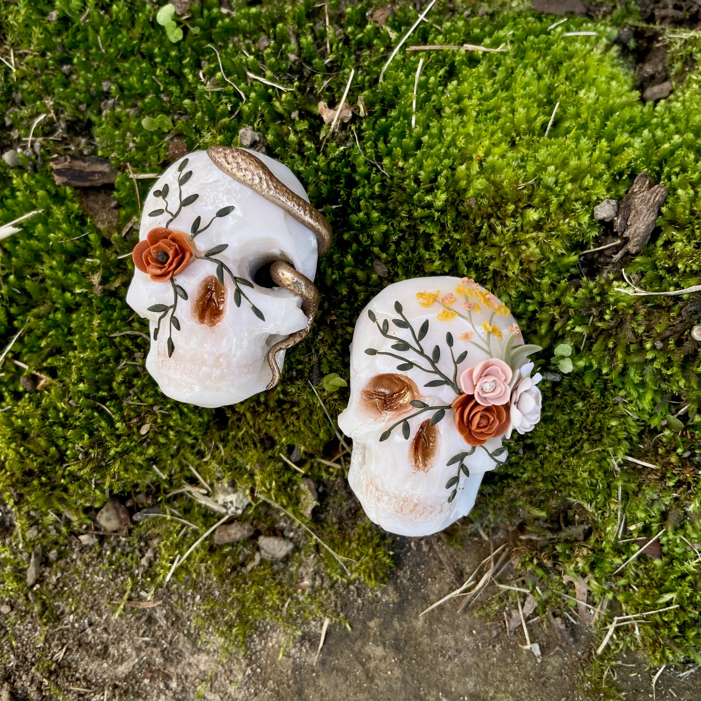 Light Snake Skulls