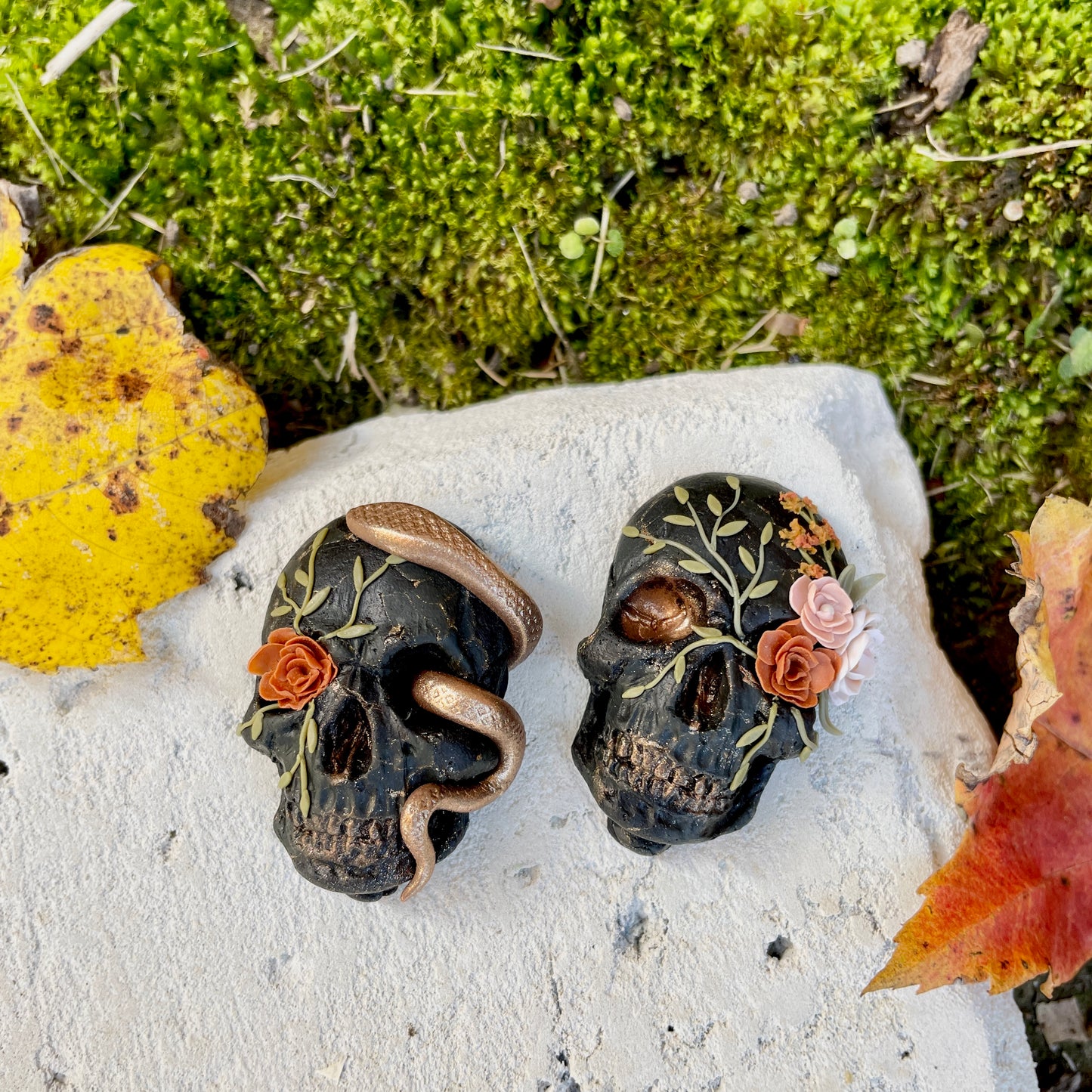 Dark Snake Skulls